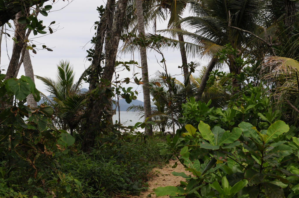 Sejala Huts Mission Beach