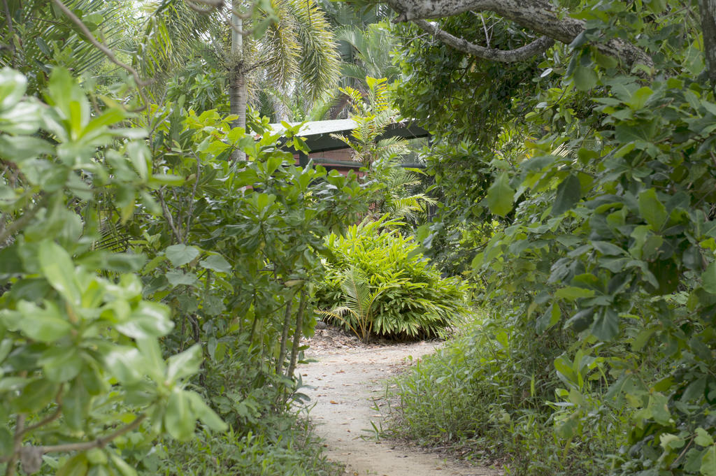 Resort Sejala Huts Mission Beach